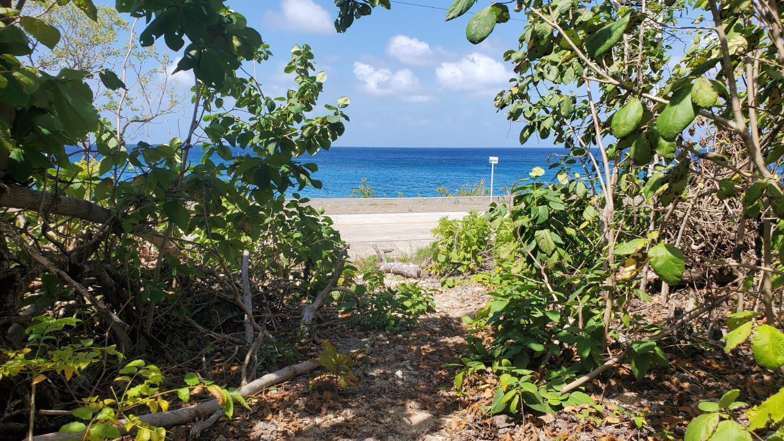 5 Acre Property – Southern Caribbean